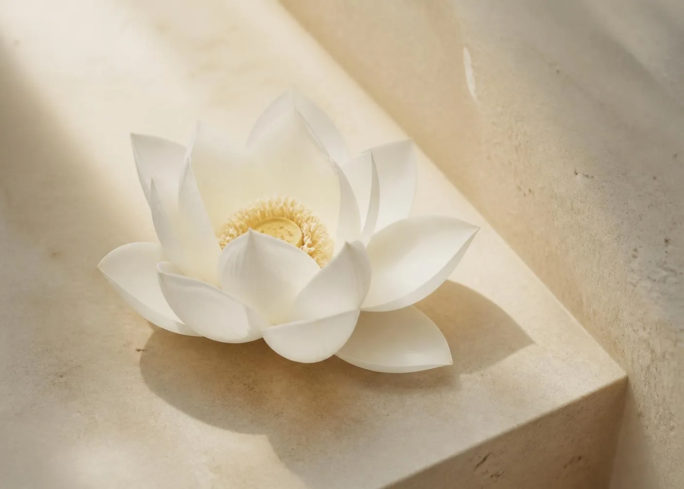 Flor de lótus branca sobre pedra clara, símbolo do equilíbrio no cuidado integrativo